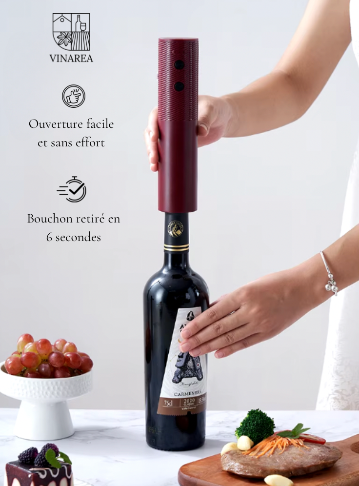 Tire-bouchon électrique rechargeable